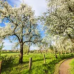 Eifelferienwohnungen 