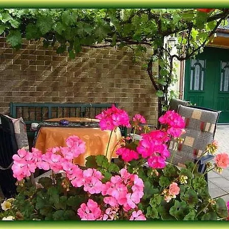 Apartment Eifelferienwohnungen Familie Saxler