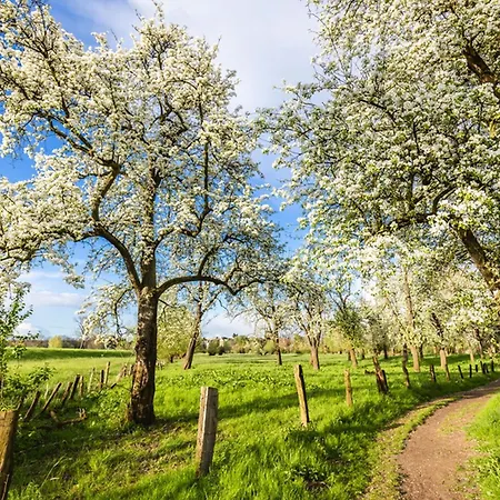 Eifelferienwohnungen 
