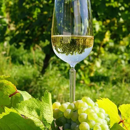 Eifelferienwohnungen 