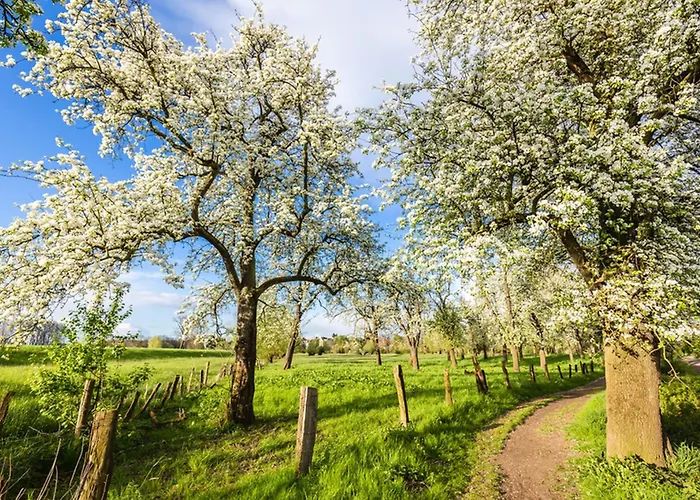 Eifelferienwohnungen 