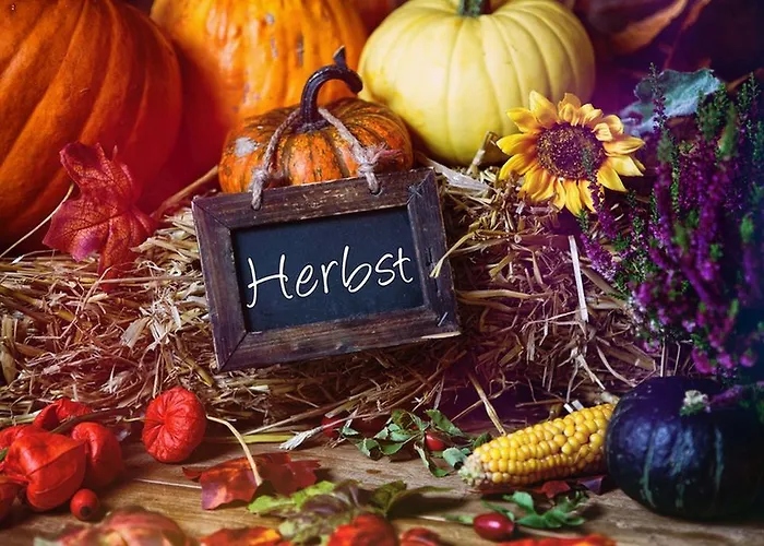 Eifelferienwohnungen 