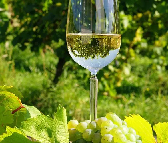 Eifelferienwohnungen 